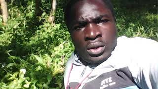 Basakhulu khula bukesi