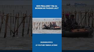 600 Prajurit TNI AL Bongkar Pagar Laut Tangerang, Siap Pasang Badan Hadapi Perlawanan