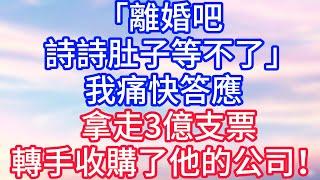 【情感故事】「離婚吧，詩詩肚子等不了」我痛快答應，拿走3億支票，轉手收購了他的公司！#故事 #人生哲理