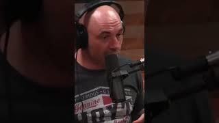 Joe Rogan explains DMT trip