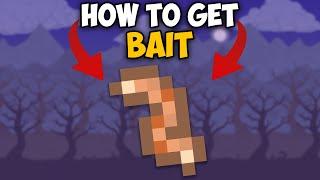 How To Easily Get Bait in Terraria 1.4.4.9 | Terraria How To Easily Get Bait