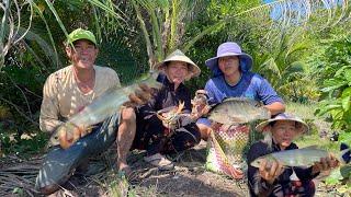 Săn Bắt Mùa Nước Nổi Trúng Mánh Cá Và Cua, Đặt Biệt Có Một Loài Cá Ngon Hết Sẩy | Tập 65