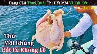 Đang Câu Cá Thì Hết Mồi Hảo Hán Lấy Luôn Mồi Nhậu Ra Câu Và Cái Kết | Review Con Người Và Cuộc Sống