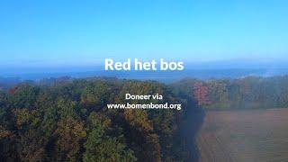 Red het bos op de Hilkensberg (Limburg)