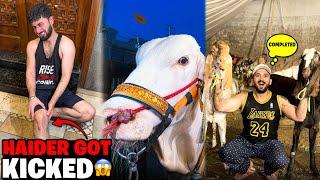Big Cow Hits Haider During ShowerMandi Shopping Completed