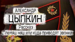 Александр Цыпкин рассказ "Племяш наш, или Куда приводят звонки"