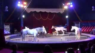 Елена Павлович. Цирковой номер  - Свобода лошадей. Horses' liberty Elena Pavlovich