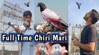 پلازے والی چھت پے کی چیڑی ماری  - Apna Shok apni pachan - Nasir pigeon club - Khokhar pigeon club