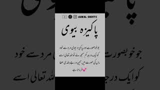 Pakeeza Biwi #poetry #dailyshorts #husband_wife #love #india #pakistan #husbandwifelove
