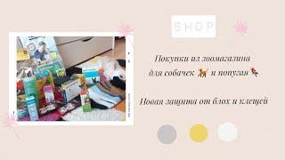 Покупки из зоомагазина для собачек и Кеши/ новая защита от блох и клещей))