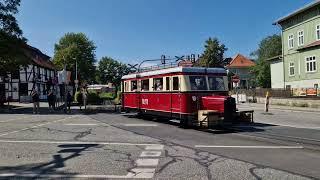 Schweineschnäuzchen T41 des DEV zu Gast in Wernigerode