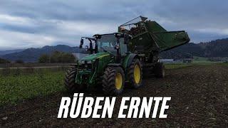 Futterrüben Ernte mit einem John Deere 5100R und einer Thyregod Rübenmaschine