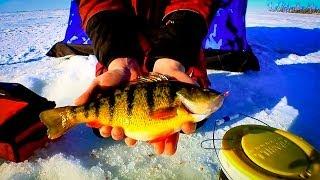 Devils Lake Perch - In-Depth Outdoors TV - Season 6, Episode 4