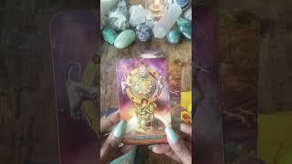 What Your Crush Finds Attractive About You & What They Think Tarot Collective Message w/ Pick A Card