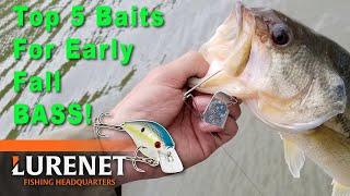 Jason Christie's Top 5 EARLY Fall Bass Fishing Lures – Top Picks & Tackle Tips