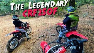 The BEST beginner dirt bike! - CRF250F