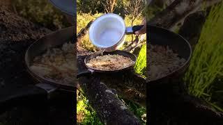 Camping cooking ‍ #camping #campingdog #campingcooking #noodles #nature #shorts #lab