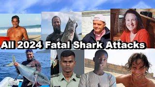 All 2024 Fatal Shark Attacks