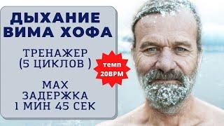 Вим Хоф. 5 циклов. Задержка 1 минута 45 сек. Онлайн-тренажер с музыкой и релаксацией