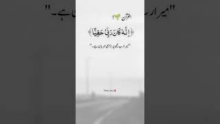 القرآن #quran #tarjuma #qurantranslation #islam #islamic #islamic_video #shorts