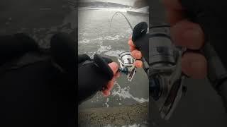 Чёрная мамба -  Мормо телескоп тестом от 0.2 до  0.8 г. Микроджиг.  #мормышинг #fishing