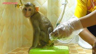 Amazing Monkey, Cute Baby Luna Change Diaper And Bathed Routine