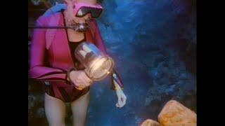 Scuba Divers explore Coral Wall 1980