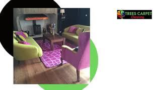 Upholstery Deep Cleaning Specialists in Inverness | Trees Carpet Cleaning