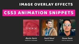 CSS3 Image Overlay Effect | Image Overlay Hover Effect With CSS