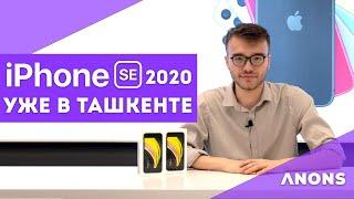 Узбекистан: обзор iPhone SE 2020 с ценами в Ташкенте