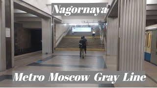 Nagornaya station. Moscow Metro, Gray Line  Fragment 2