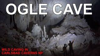 Ogle Cave in Carlsbad Caverns National Park