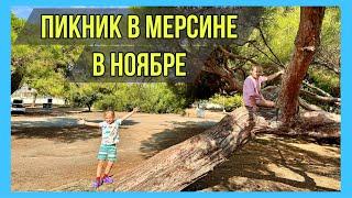 Пикник в Мерсине в ноябре. Кэмпинг  в Мерсине