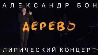 Александр Бон - Дерево | Лирический концерт | Стихи | LIVE