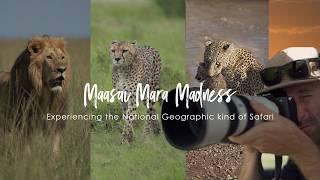 Maasai Mara Madness | Experiencing a Wildlife Photographic Safari, National Geographic Style