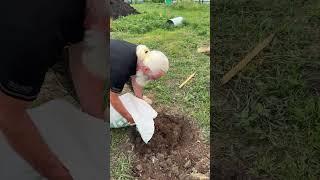 Заряжай место СВОЕЙ энергетикой! #здоровыйобразжизни #здоровыйдух #фермер