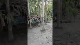 কেয়ামতের দিন #shortsviral #shortvideo #islamicstatus #status #mizanur_rahman_azhari #vlog