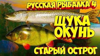 ┃ГДЕ ЩУКА ???┃РР4 ┃Можно ли на фармить ┃оз.Старый Острог...