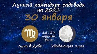 Календарь огородника на 30 января 2021 года. Лунный посевной календарь садовода | Флористикс Инфо