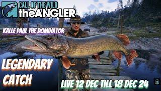 Kalle Paul The Dominator  live 12 Dec till 18 Dec 24 #COTWTheAngler