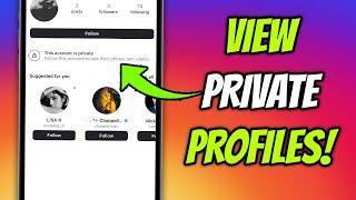 How to View Private Instagram Profiles Without Following Them