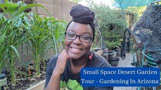 Small Space Desert Garden Tour - Gardening In Arizona - Hot Climate Gardening