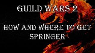 GW2: How and where to get Springer mount