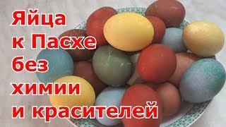 Как покрасить яйца на Пасху без красителей и без химии. Любые расцветки на Ваш вкус