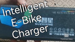 Suzhixing Ebike Charger | Intelligent Ebike Charger | 48v20ah