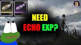 [Wuthering Waves] Echo experience farming guide and tips