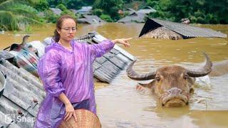 Floods and rains increased, causing great damage in the village