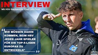 Bildet der HSV nicht gut genug aus? Nachwuchs-Chef Loic Favé spricht über den neuen Anspruch des HSV