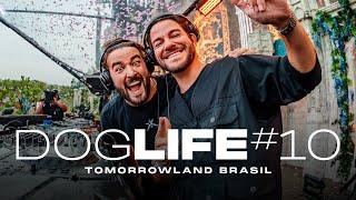 DOGLIFE #10 @ Tomorrowland Brasil