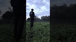 nature travel experience #fyp #videotravelling #contencreator